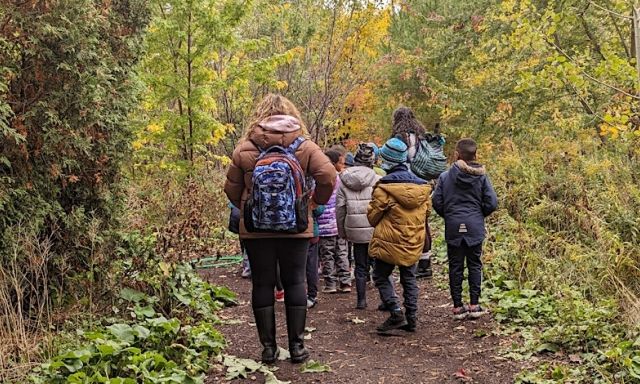 people walking in forest